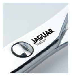 Smart Shear 5.5" - Bonika Shears