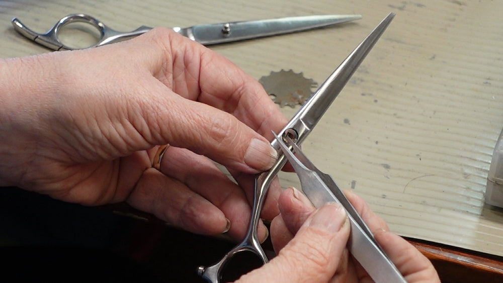 Training in Sharpening Bonika Shears