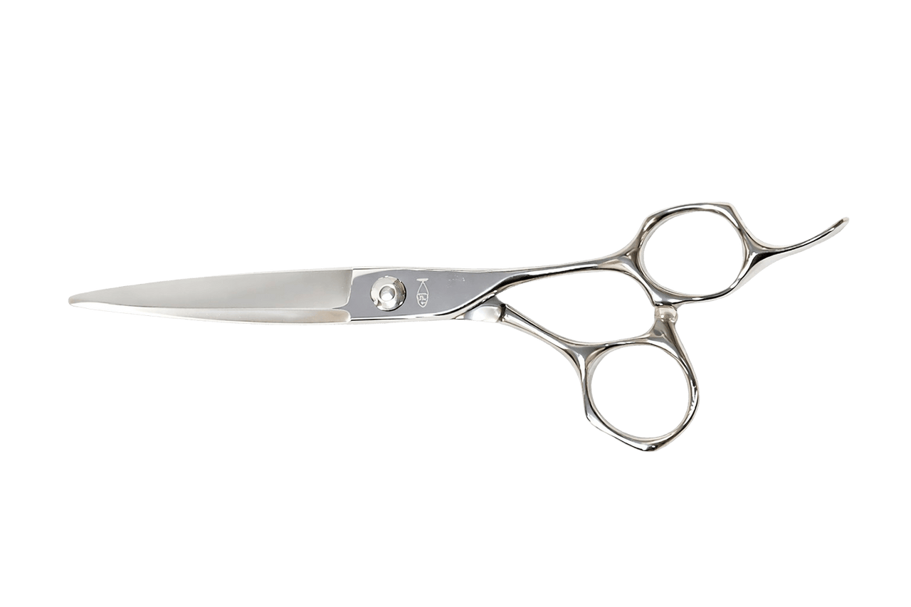 Bonika International 4