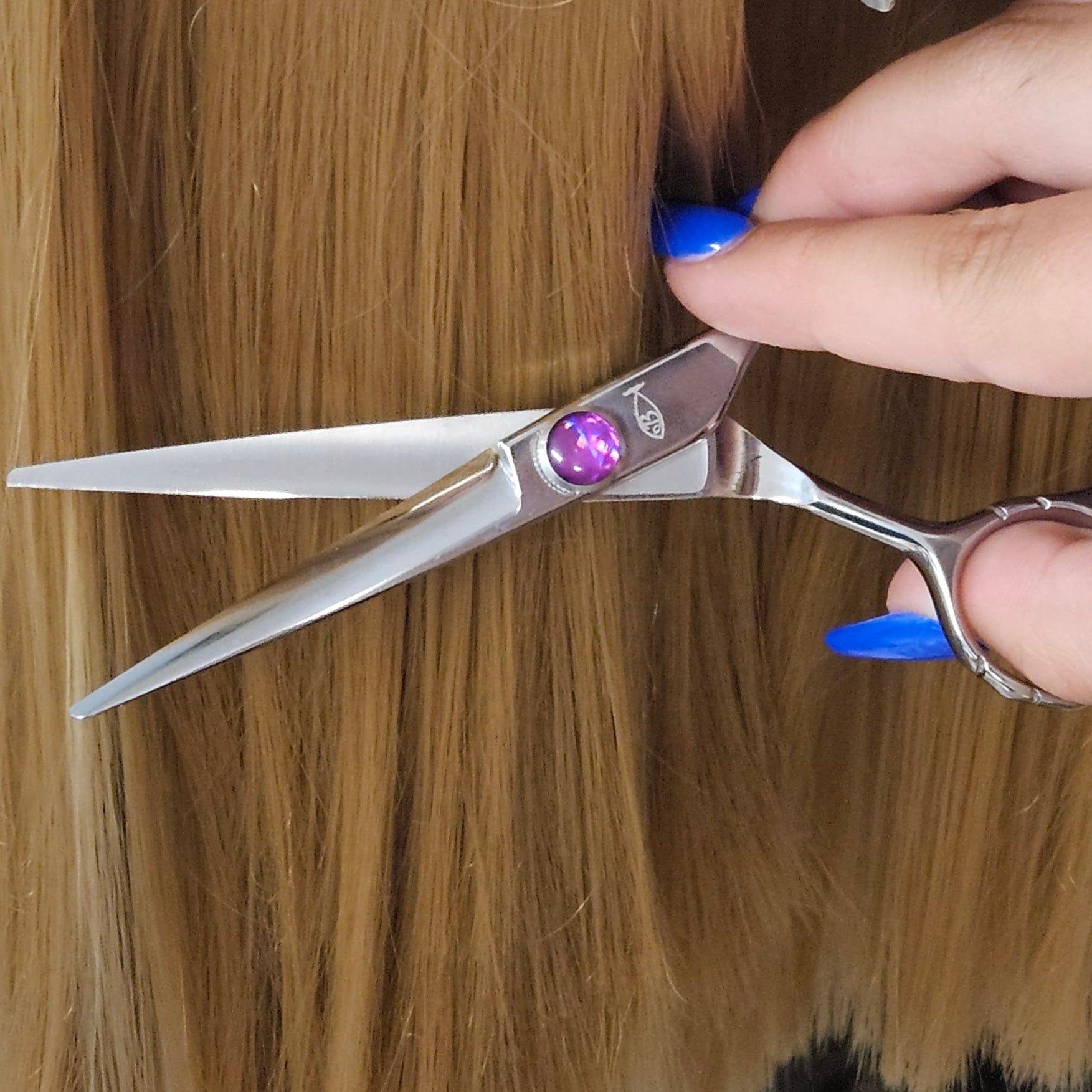 Chameleon Beauty Scissors | Bonika Shears