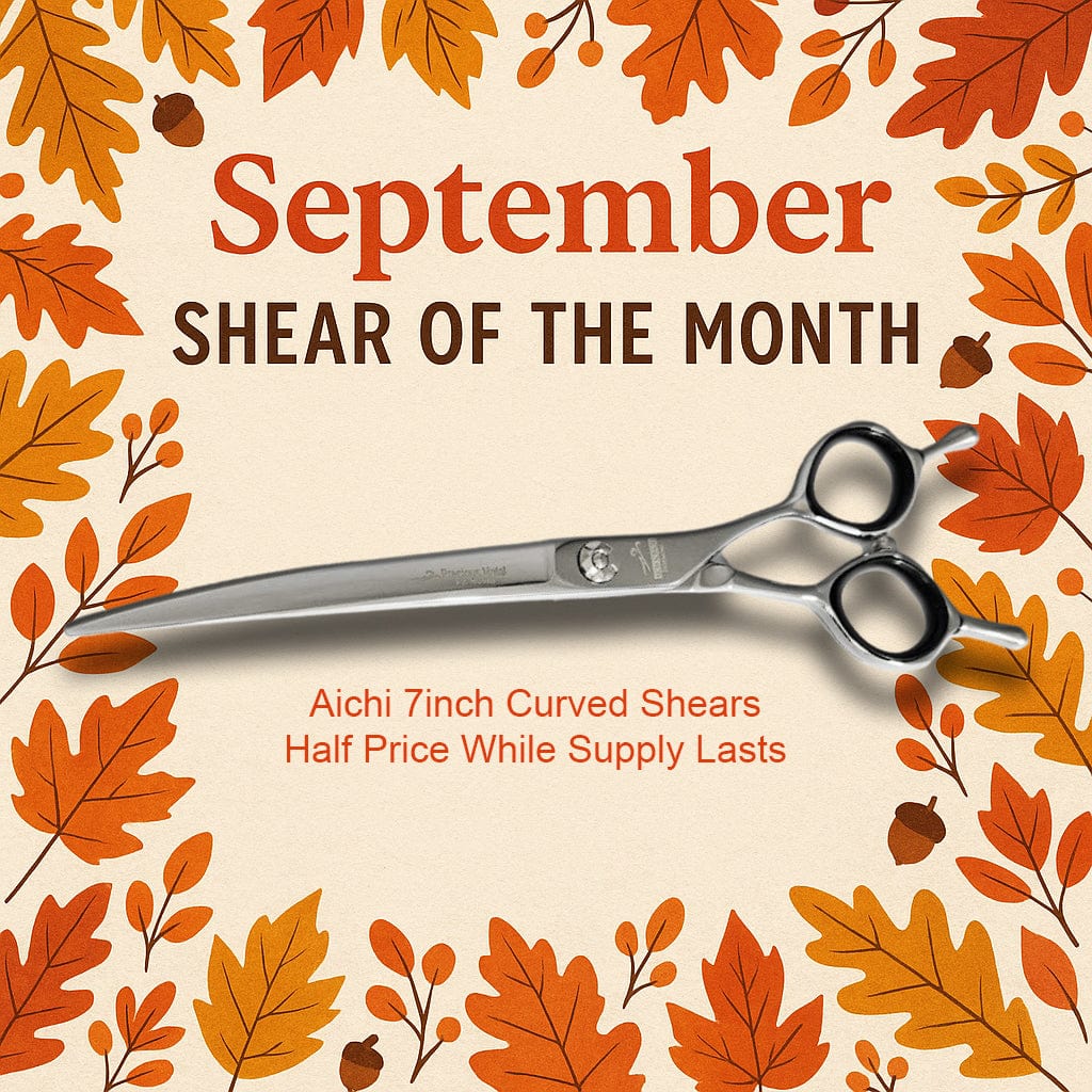 September Shear of the Month - Aichi Curved Shears