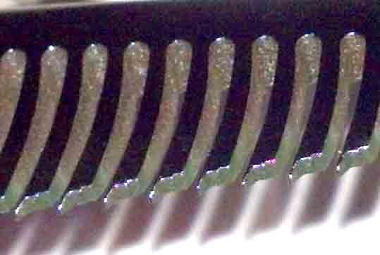 Rose Blender Shears - Bonika Shears