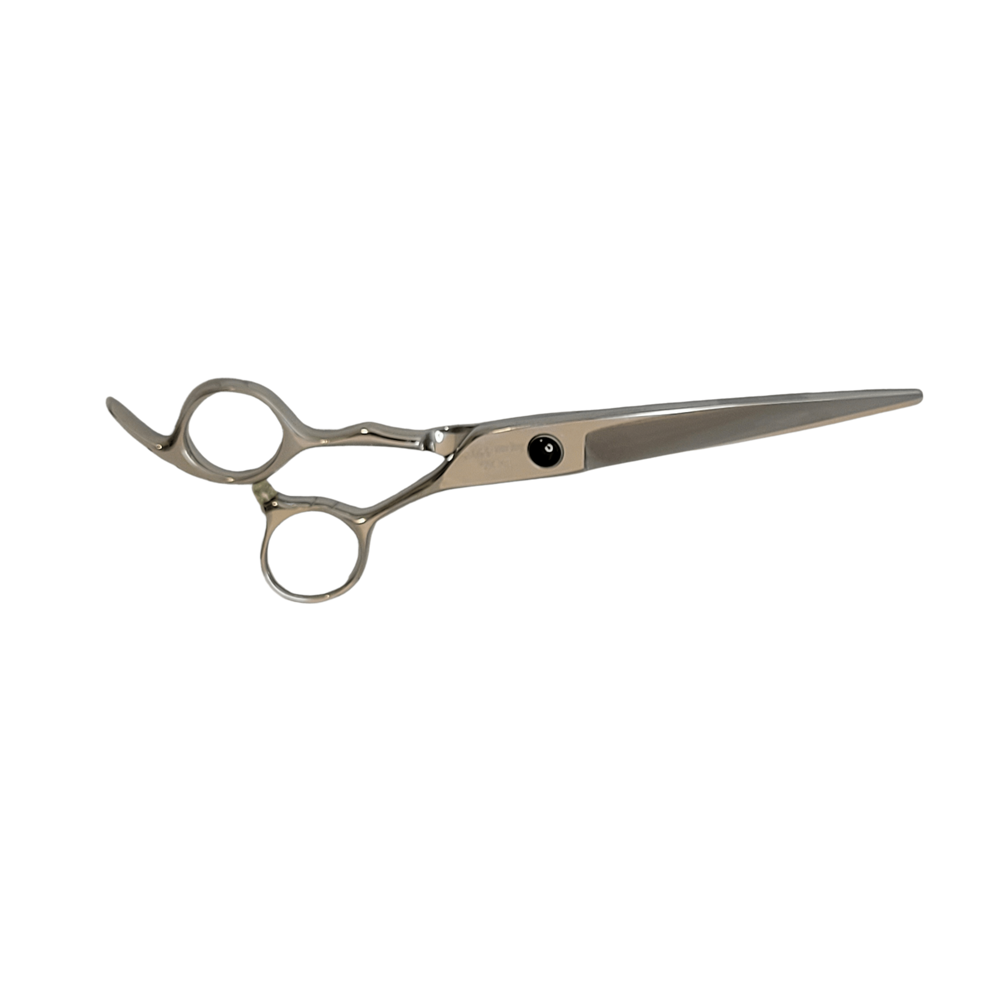 Practice Scissors Bulk Variety - Bonika Shears